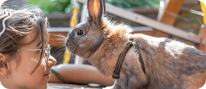 Blog bejegyzés 02 borítókép