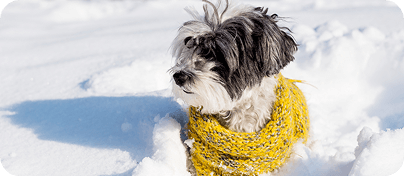 Blog bejegyzés 02 borítókép