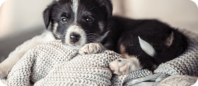 Blog bejegyzés 03 borítókép