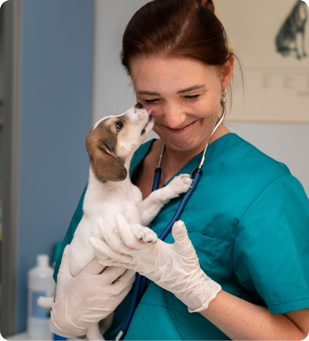 Vetty alapítója - Dr. Katona Ramóna