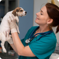 Vetty csapat - Dr. Katona Ramóna